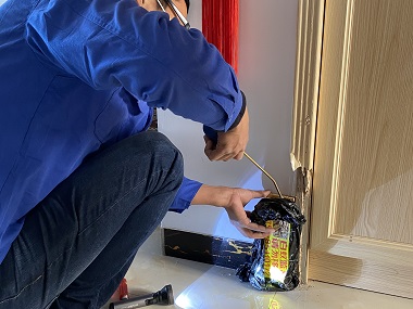 顺德白蚁备案中心家里木制家具门框有白蚁怎么办