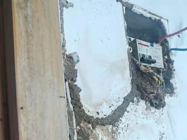 禅城上门灭白蚁站：群体社会是白蚁的生物特性吗？