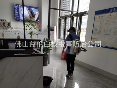 南海室内杀灭蚊蝇工程